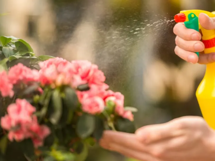Flower Farming