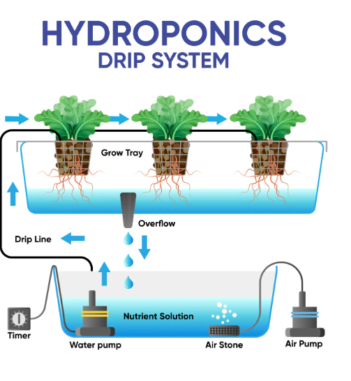 Hydroponics 