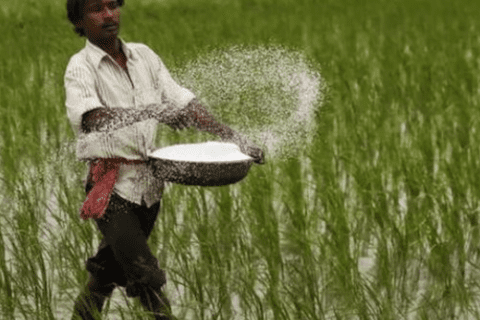 Urea