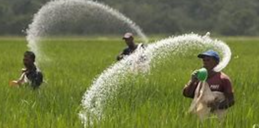 Urea
