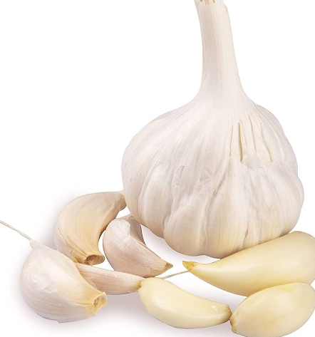 The Garlic Price