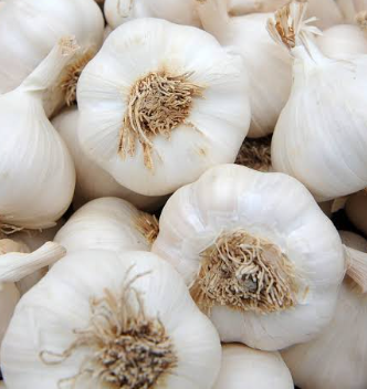 The Garlic Price