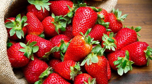 Strawberry Farming All Over The World