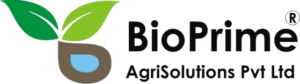 BioPrime Agrisolutions is transforming agriculture with its high-performance microbial strains.
