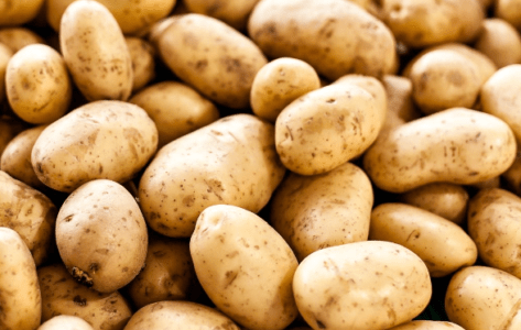 Uttar Pradesh Potato Market