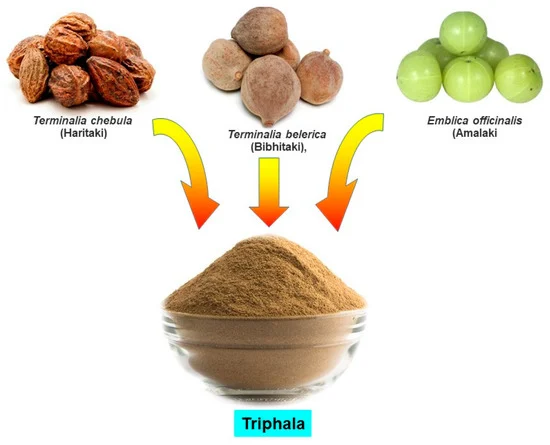 Discover the ancient herbal blend of Triphala, known for its digestive, antioxidant, and immune-boosting properties.