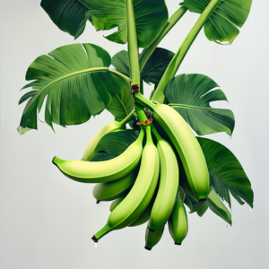 Earn Big with Banana Farming: Low-Cost, High-Profit Agriculture