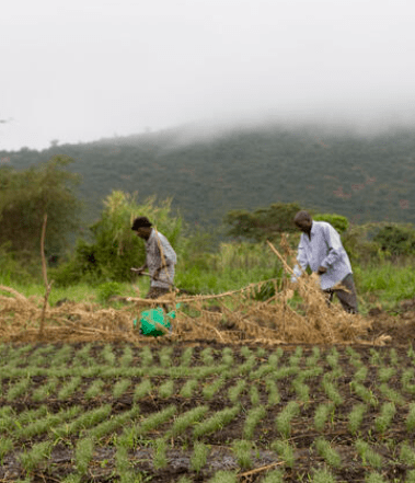 BioPrime Agrisolutions is transforming agriculture with its high-performance microbial strains.
