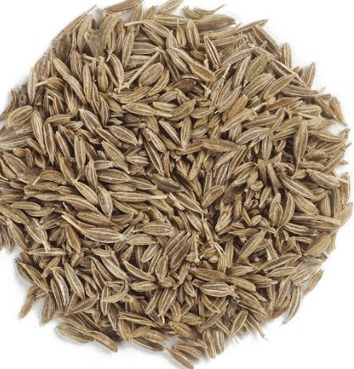 wholesale price trends of spices like coriander, turmeric, and cumin in India for February.