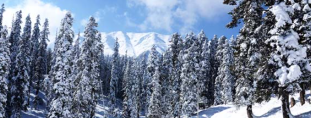 Weather Conditions-Snowfall, and Hailstorm Alert in North India