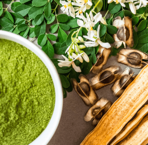 Moringa: A Superfood for Health and Wellness