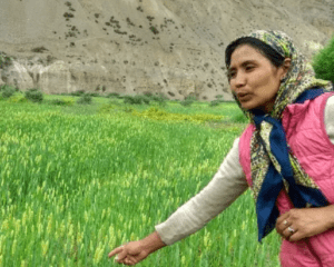 International Women’s Day: Undeterred by Challenges, Himachal Woman Creates History in Natural Farming