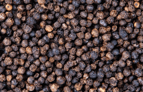 Black Pepper Varieties: Cultivation and Top 5 Improved Varieties in India