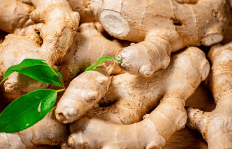 Green Ginger Prices Surge in March 2024: Increased By Rs 364.15 to Rs 9,245.9 Per Quintal