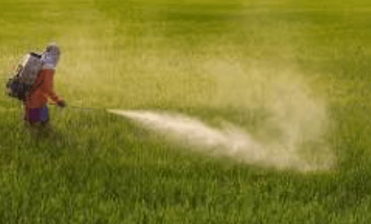 The Impact of Pesticides in Fresh Produce: Understanding Health Risks and Alternatives