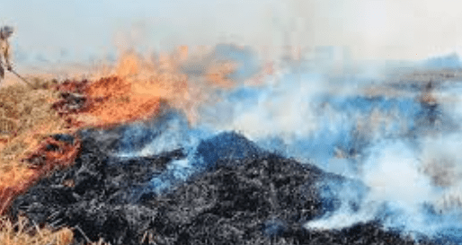 Stubble Burning: An Eco-Friendly Solution for Farmers