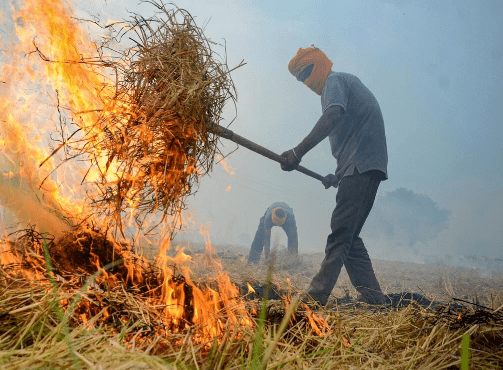 Stubble Burning: An Eco-Friendly Solution for Farmers