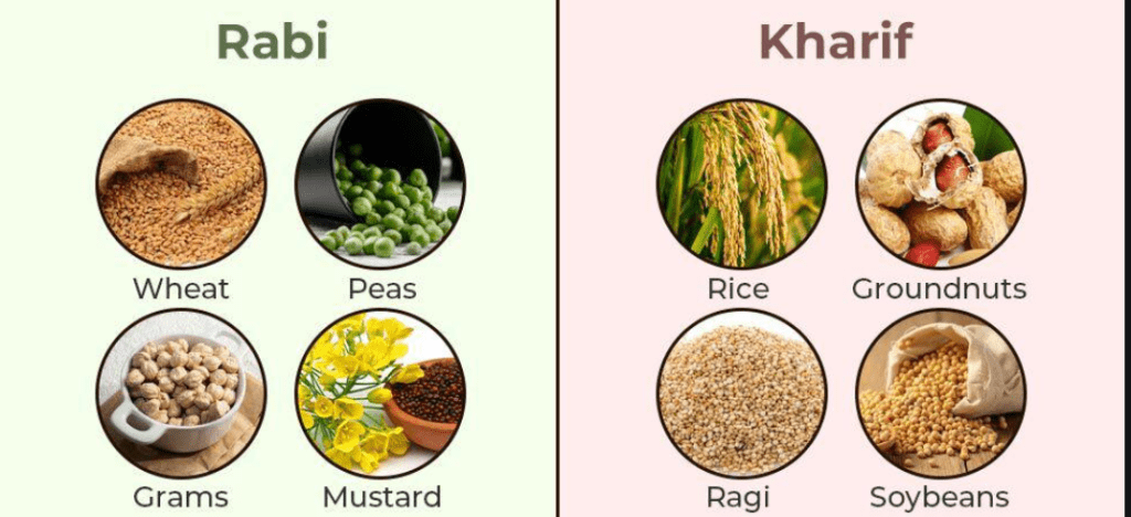 The Production of Major Kharif and Rabi Season Crops for 2023-24