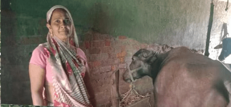 Sarita Devi: A Story of Transformation through Sustainable Agriculture