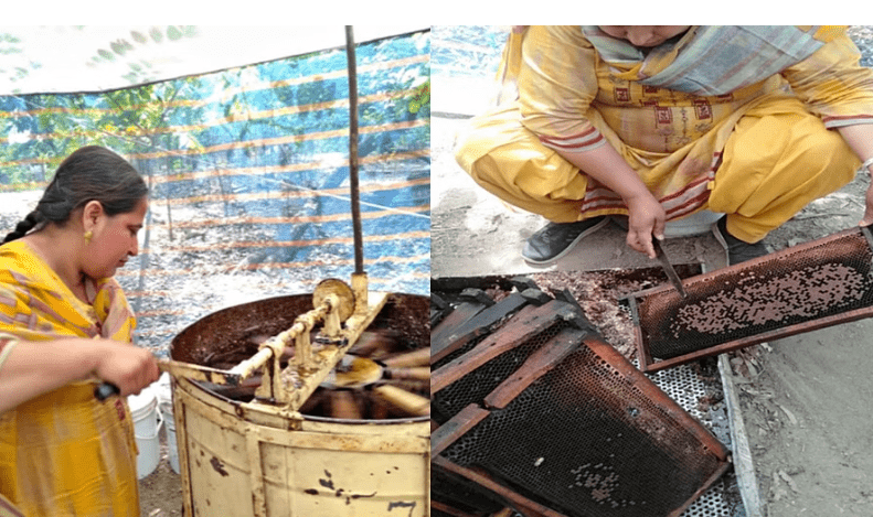 Swarnjeet Kaur Brar, The Woman farmer hits the jackpot with honey business