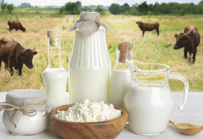 Increase Cow and Buffalo Milk Production Naturally with This Surprising Home Remedy!!