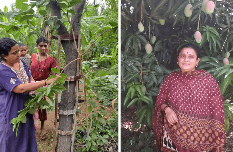 Kavita Mishra: A Engineer in Sandalwood Farming and Fruit Farm