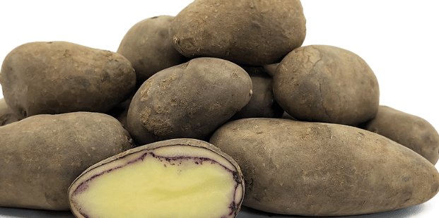 Unlocking the Mystery of Black Potatoes: Farmer's Surprising Revelation ...