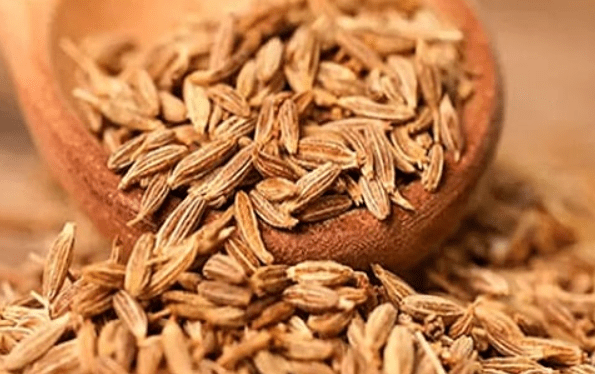 Jeera Prices Roars: Cumin Market Prices Surge Across India