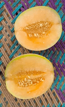 Top 5 Advanced Melon Varieties for Profitable Cultivation:Hara Madhu