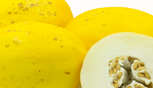 Top 5 Advanced Melon Varieties for Profitable Cultivation:Punjab Golden