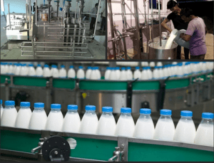 Govt of Himachal Pradesh Signs MoU with NDDB for Cutting-edge Milk Processing Plant