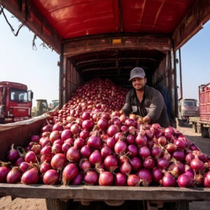 Government Extends Onion Export Prohibition with Limited Exports to Neighboring Countries